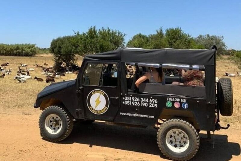 Albufeira Safari Tour With Entrance in Krazy World - Customer Reviews and Ratings