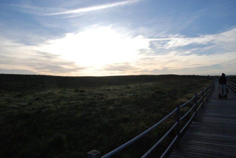 Albufeira: Salgados Nature Reserve Segway Tour - Experience Highlights