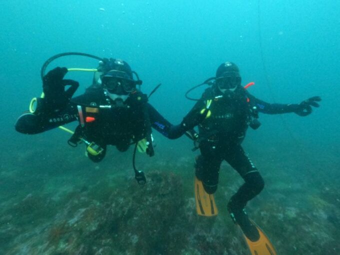 Albufeira: Scuba Diving Experience for Beginners - Gear and Equipment
