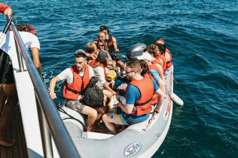 Albufeira: Sightseeing Cruise With Beach BBQ and Open Bar - Experience Highlights