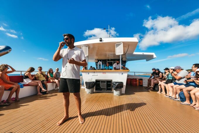 Albufeira: Sightseeing Cruise With Beach BBQ and Open Bar - Departure and Transportation
