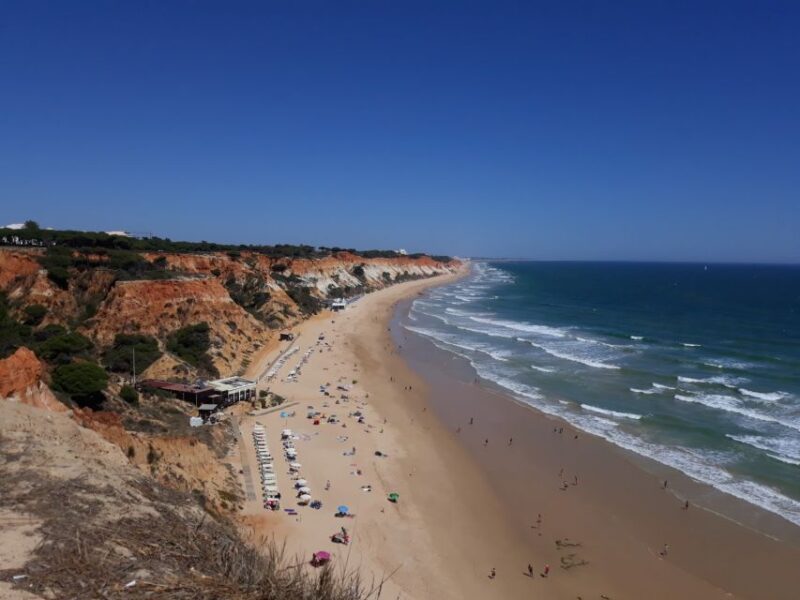 Albufeira Sightseeing in a Tuk Tuk - Unique Experience - Customer Ratings and Feedback