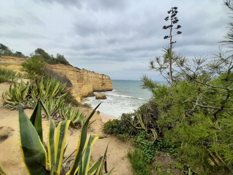 Albufeira: Silves Castle, Marinha Beach, and Benagil - Inclusions