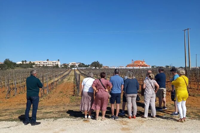 Albufeira Tour: Winery Wine and Tapas Boards - Pastel De Nata Delight