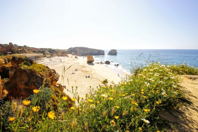 Albufeira: Tuk Tuk Ride With Old Town and Beaches - Customer Reviews
