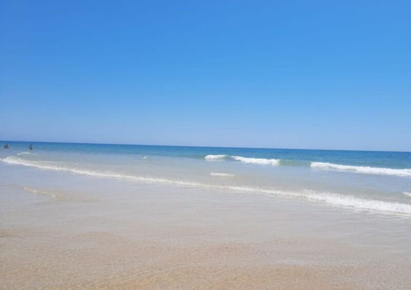 Albufeira - Visit Olhão & Culatra Island With Lunch Included - Pricing Details