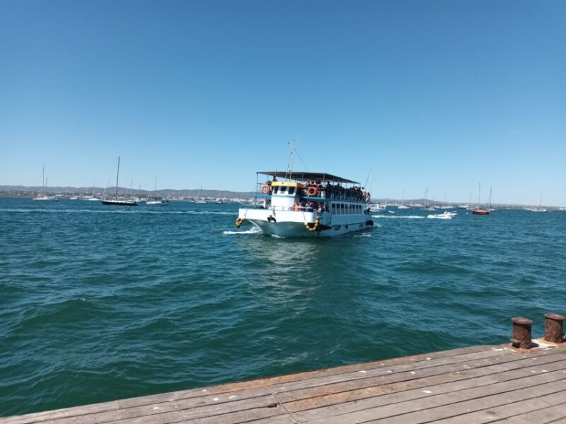 Albufeira - Visit Olhão & Culatra Island With Lunch Included - Transportation and Logistics