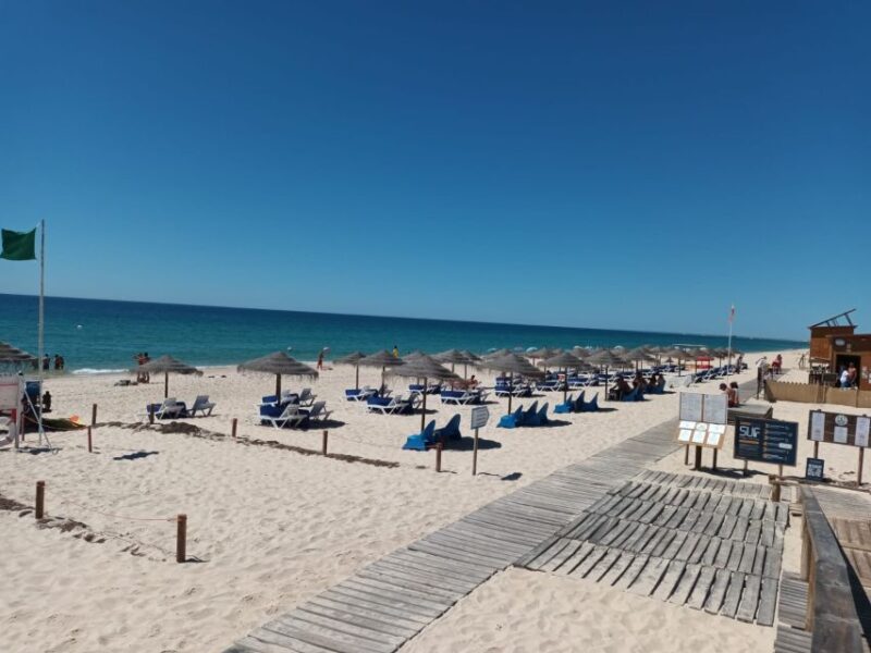 Albufeira - Visit Olhão & Culatra Island With Lunch Included - Guide Services and Languages