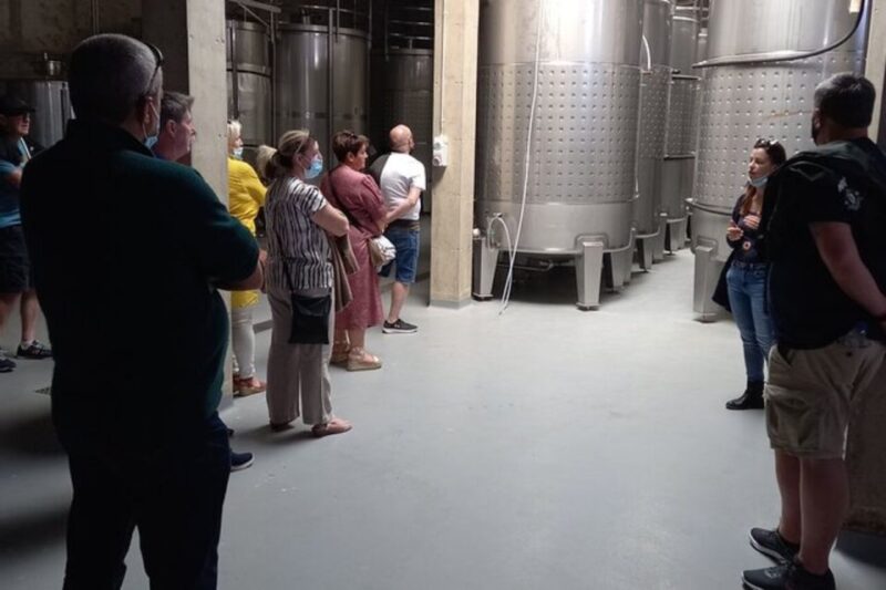 Albufeira: Winery Tour With Wine Tasting and Tapas - Scenic Albufeira Views