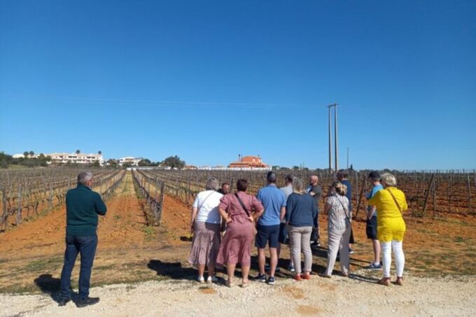 Albufeira: Winery Tour With Wine Tasting and Tapas - Local Firewater Tasting