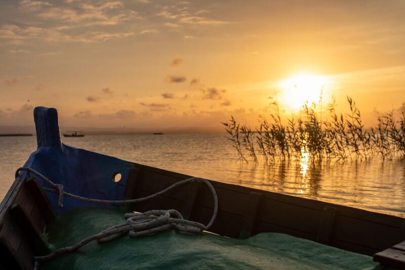 Albufera: Boat Ride With Valencian Wine Tasting & Tapas - Wine and Food Experience