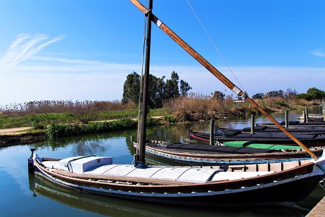Albufera: Lake, Paella and Birdwatching - Boat Ride Across the Lagoon