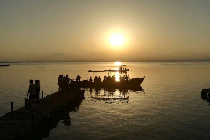 Albufera Natural Park Tour With Boat Ride From Valencia - Meeting and End Points