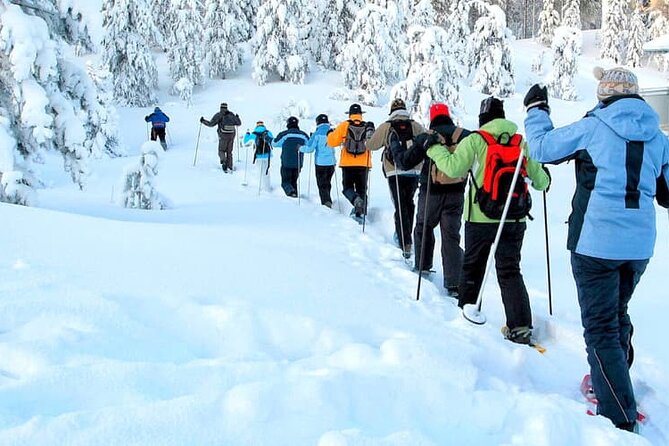 Albuquerque Snowshoe Experience - Scenic Mountain Hike