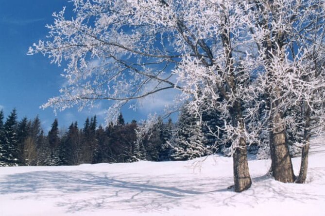 Albuquerque Snowshoe Experience - Refreshments and Snacks