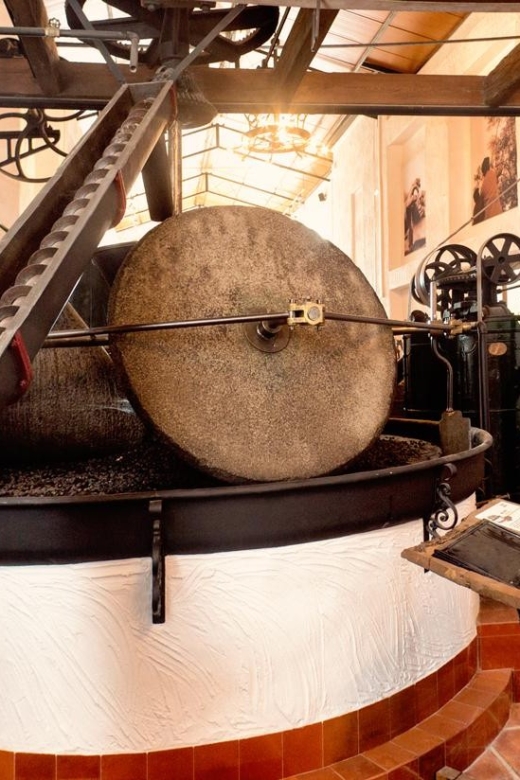 Alcalá La Real: Olive Grove Guided Tour and Tasting - Highlights of the Experience