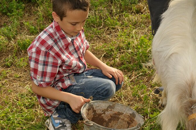 Alcamo Farm Animals and Aromatic Garden - Sample Menu