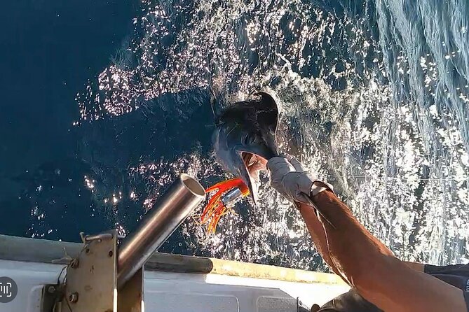 Alcántara Private Experience Charter Fishing/Walking - Tour Accessibility