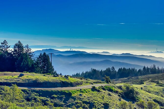 Alcatraz Day Tour and Aquarium With Muir Woods and Sausalito Tour - Inclusions and Highlights