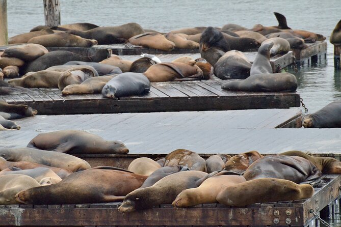 Alcatraz Day Tour Plus Fishermans Wharf Walking Tour - Inclusions