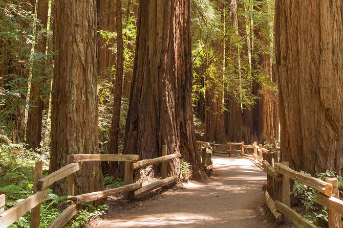 Alcatraz With Muir Woods and Sausalito Tour - Tour Experience and Highlights