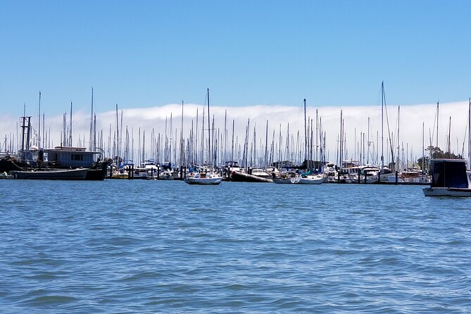 Alcatraz With Muir Woods and Sausalito Tour - Reviews and Feedback