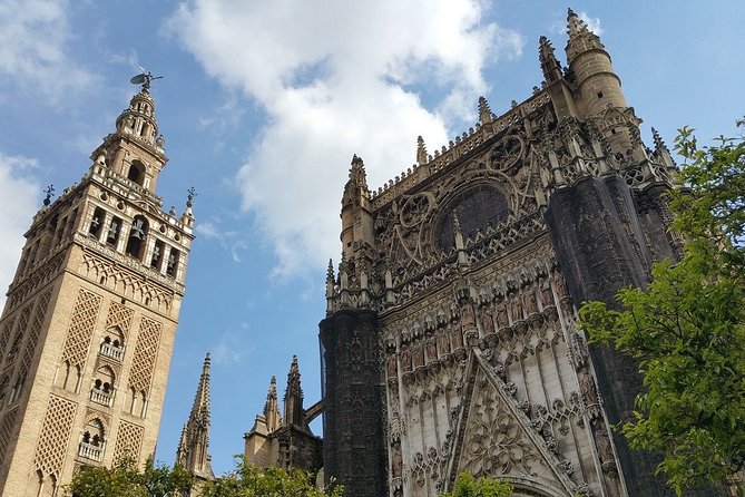 Alcazar, Cathedral and Giralda + Santa Cruz - Guest Reviews Highlights