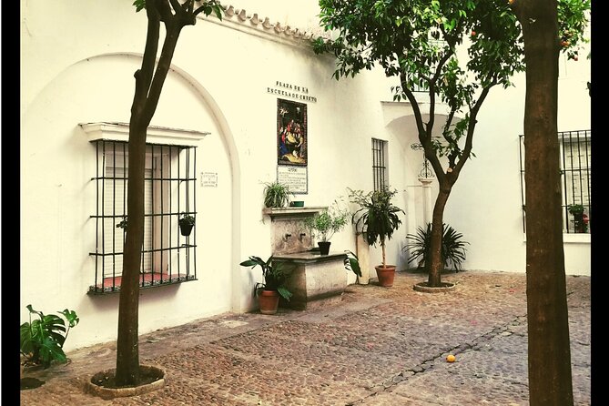 Alcazar, Cathedral And Santa Cruz Private Tour - Meeting and Pickup