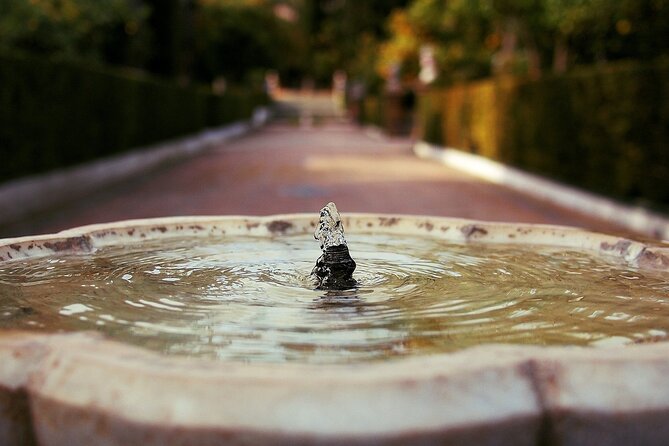 Alcazar & Cathedral of Seville Private Guided Tour - Pricing and Booking