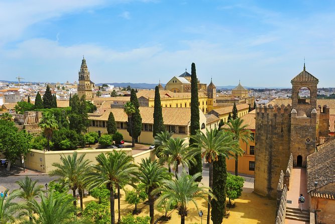 Alcazar of Cordoba Small Group Tour With Skip the Line Ticket - Meeting Point and Accessibility Information