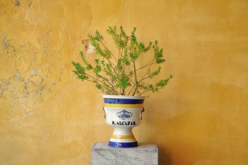 Alcázar of Seville Skip-the-Line Tickets and Guided Tour - Alcázar of Seville: A Timeless Wonder