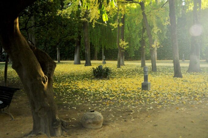 Alcázar of Seville Skip-the-Line Tickets and Guided Tour - Exploring the Gardens of the Alcázar