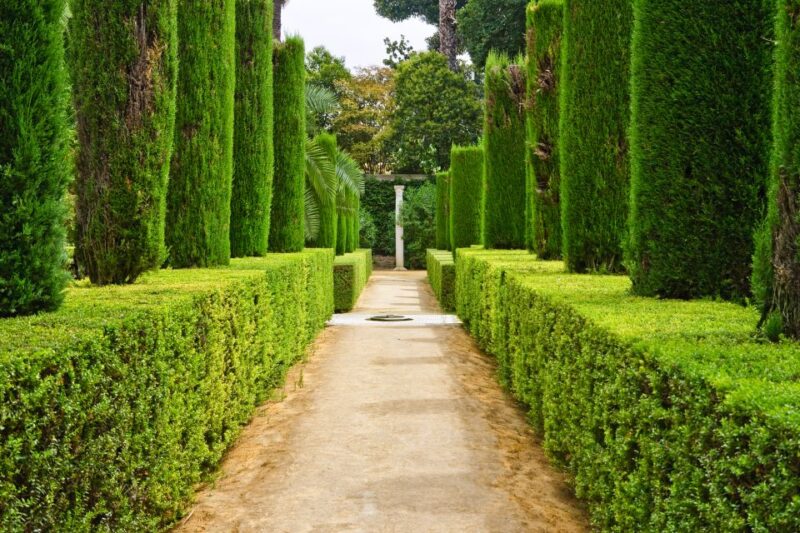 Alcazar of Seville VIP Tour - Inclusions