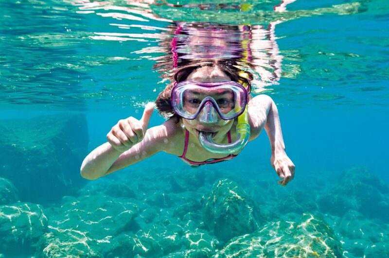 Alcudia: Boat Trip to Coll Baix - Swimming and Marine Life