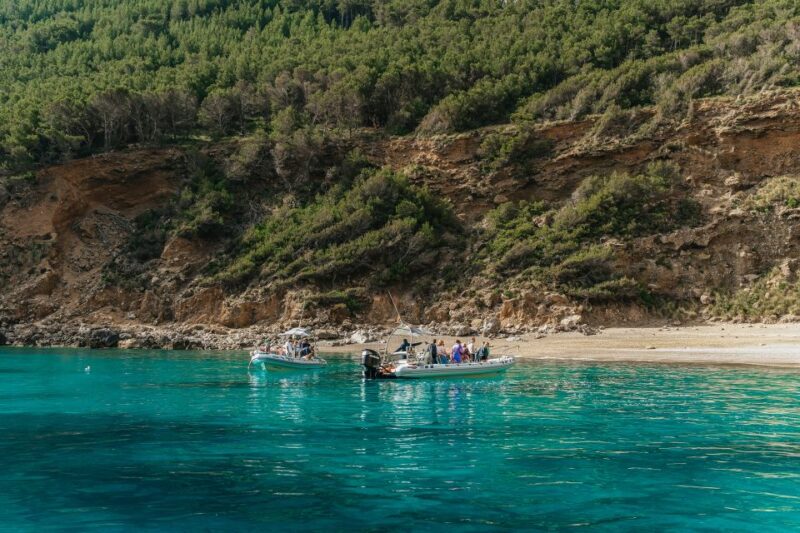 Alcudia/Can Picafort: Dolphin-Watching Cruise in Small Group - Visiting the Idyllic Es Coll Baix