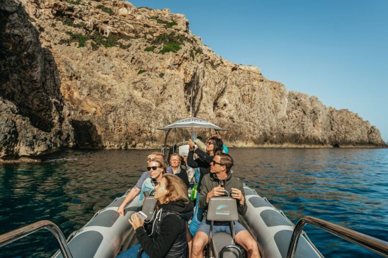 Alcudia/Can Picafort: Dolphin-Watching Cruise in Small Group - Relaxing With a Dip