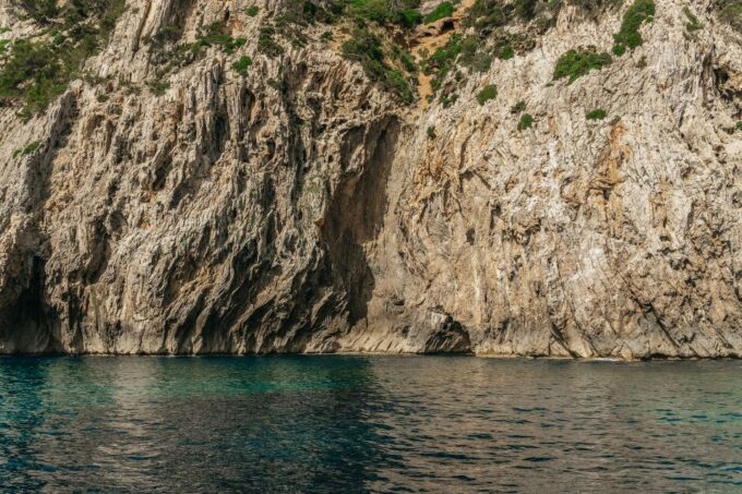 Alcudia/Can Picafort: Dolphin-Watching Cruise in Small Group - Duration and Availability