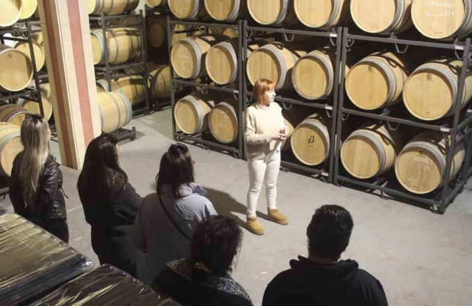 Alcúdia/Can Picafort: Guided Vineyard Visit and Wine Tasting - FAQ