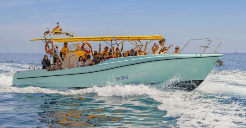Alcudia: Coll Baix Beach & Sea Caves Cruise With Snorkeling - Key Points