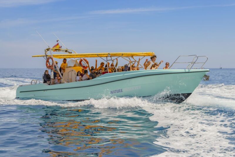 Alcudia: Coll Baix Beach & Sea Caves Cruise With Snorkeling - Pricing