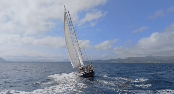 Alcudia: Exclusive Full Day Sailing Experience (F&B Incl.) - Languages and Communication