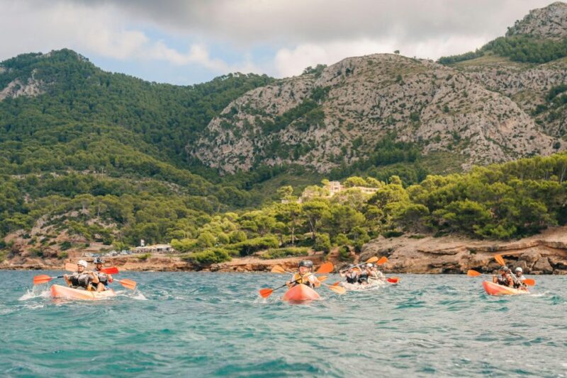 Alcudia: Guided Sea Kayaking Tour With Snorkeling - Key Points