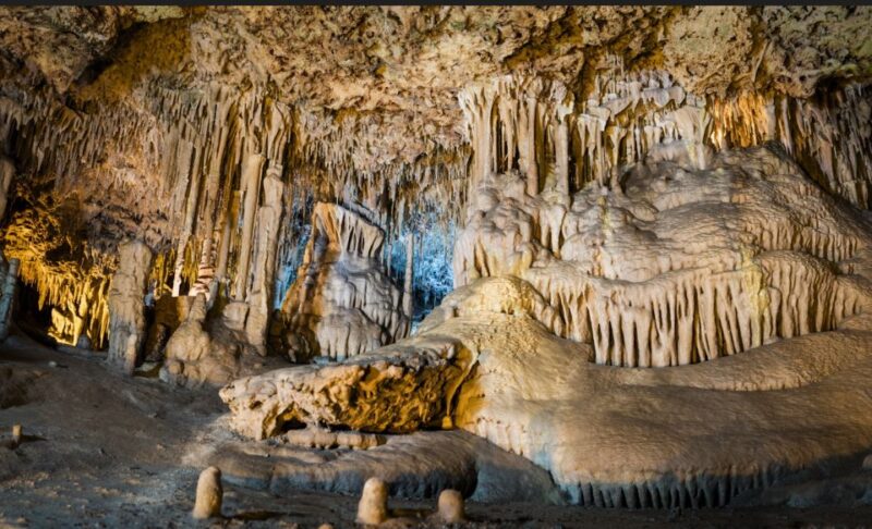 Alcudia: Half-Day Caves of Hams, Blue Caves and Documentary - Customer Feedback and Reviews