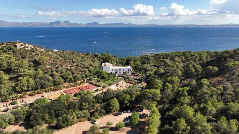 Alcudia: Museum Sa Bassa Blanca Entry Ticket - Museum Exhibitions and Highlights