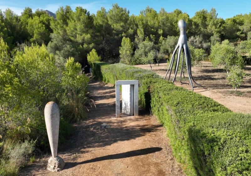 Alcudia: Museum Sa Bassa Blanca Entry Ticket - Visitor Guidelines and Accessibility