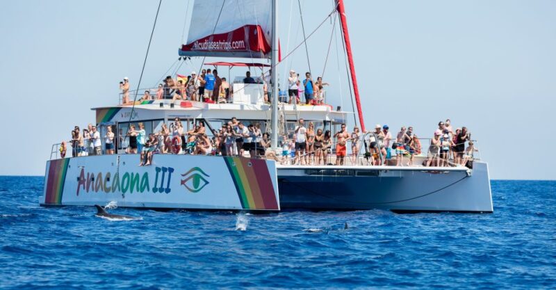 Alcudia: Sunset Catamaran Tour With Dinner and Snorkeling - Sail the North Mallorca Coast