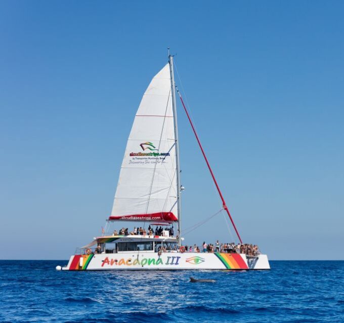 Alcudia: Sunset Catamaran Tour With Dinner and Snorkeling - Secluded Beach Stops
