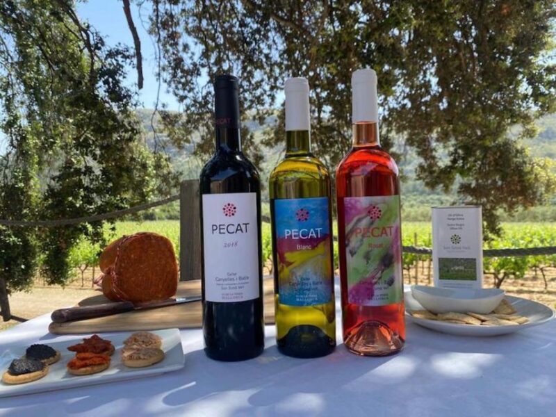 Alcudia: Vineyard Tour & Exclusive Wine Tasting Experience - Key Points