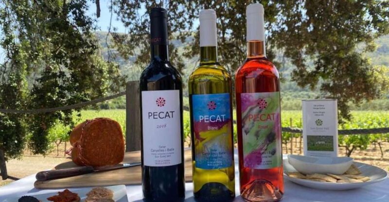Alcudia: Vineyard Tour & Exclusive Wine Tasting Experience - Guided Tour