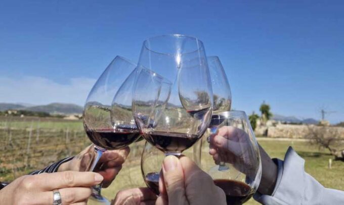 Alcudia Winecellar Tour: Vineyard Visit, Tasting of 5 Wines - Reservation and Payment